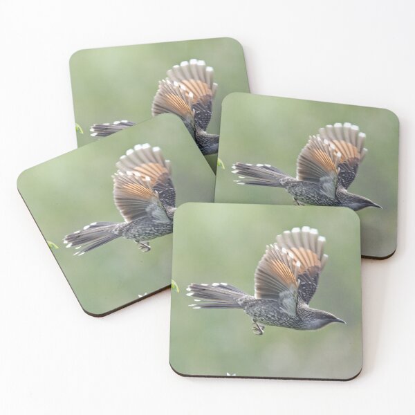 Item preview, HONEYEATER ~ Little (Brush) Wattlebird uFQ3EDBP by David Irwin 240919 designed and sold by tasmanianartist.