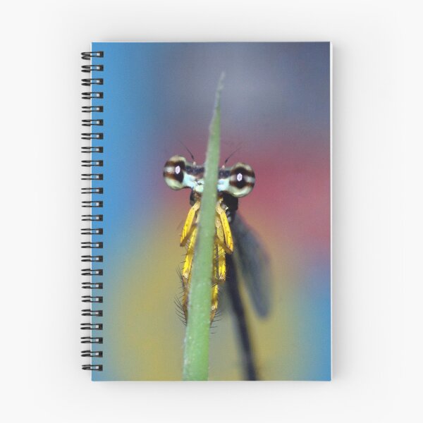 Item preview, The Shy Damsel.......... designed and sold by AroonKalandy.
