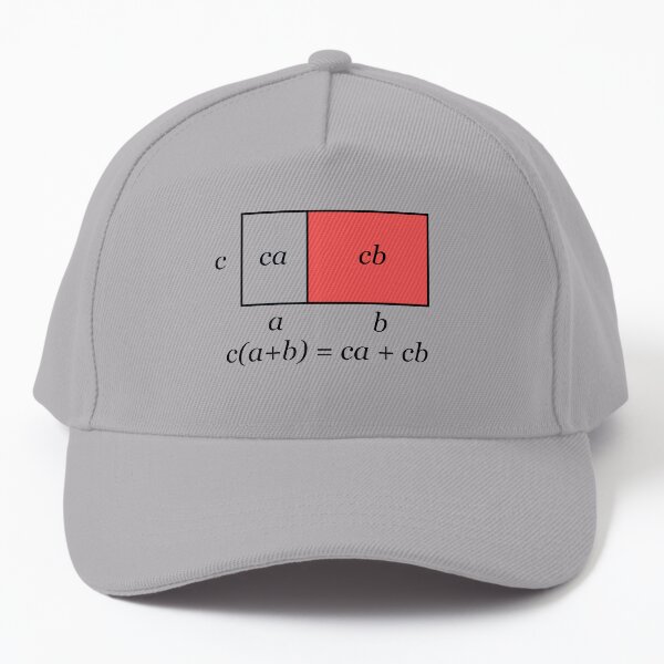 Binomial algebra Baseball Cap