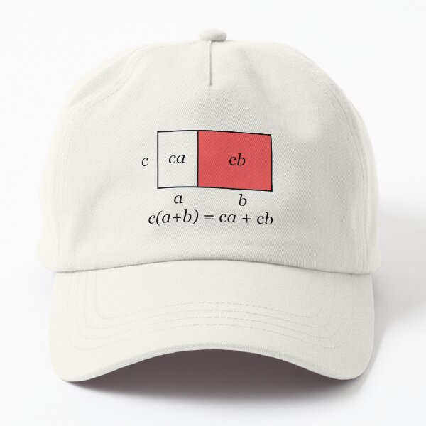 Binomial algebra Dad Hat