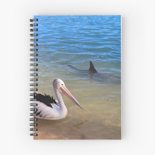 Item preview, Pelican and dolphin, Monkey Mia, Australia designed and sold by FranWest.