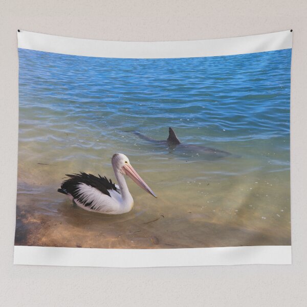 Item preview, Pelican and dolphin, Monkey Mia, Australia designed and sold by FranWest.