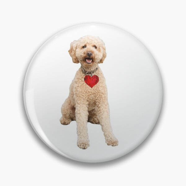 Artikelvorschau, Labradoodle, goldener Labradoodle, Labradoodle-Hund entworfen und verkauft von tshirt-agent.