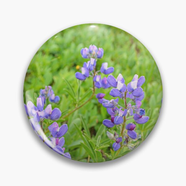 Item preview, Purple lupine wildflowers on a green backdrop designed and sold by birdsofthePNW.