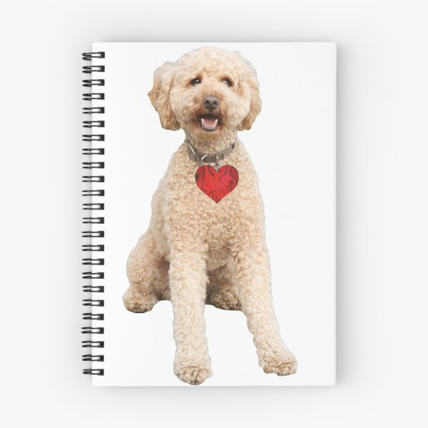 Artikelvorschau, Labradoodle, goldener Labradoodle, Labradoodle-Hund entworfen und verkauft von tshirt-agent.