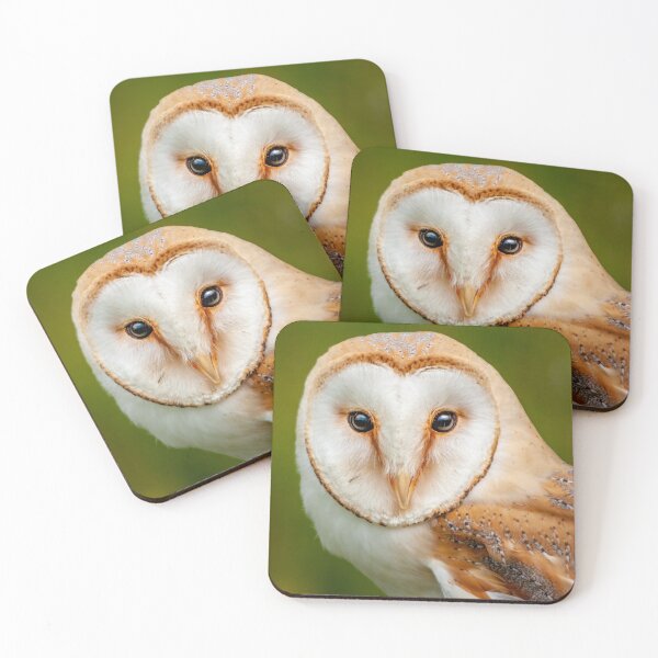 Item preview, Barn owl head designed and sold by Dalyndigital Photography.