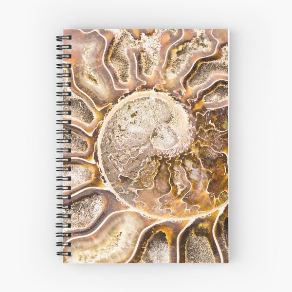 Artikelvorschau, Spiralammoniit-Fossil entworfen und verkauft von OkoLaa.