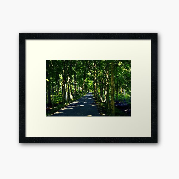 Framed Print