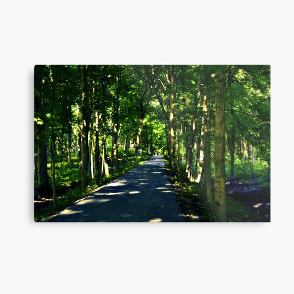 Metal Print