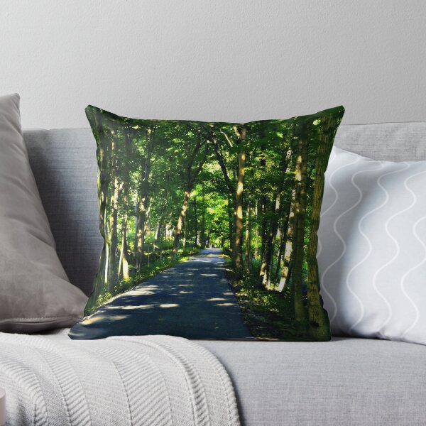 Throw Pillow