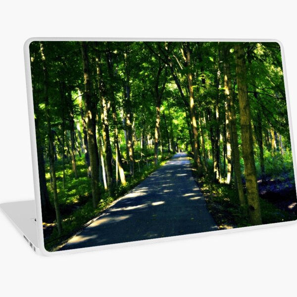 Macbook Air 13" (2015)