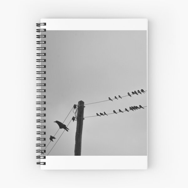 Item preview, Odd One Out designed and sold by RedGrouse.
