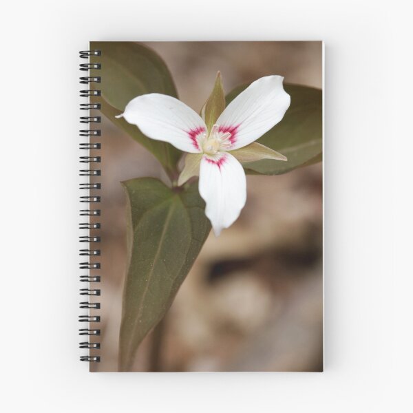 Item preview, Painted Trillium designed and sold by Carson Winston.