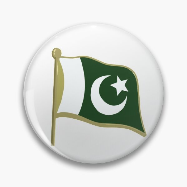Pin's pin pins drapeau flag Pakistan  Neuf 