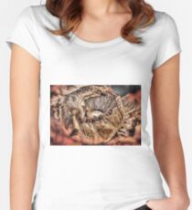 Mushroom HDR Women's Fitted Scoop T-Shirt