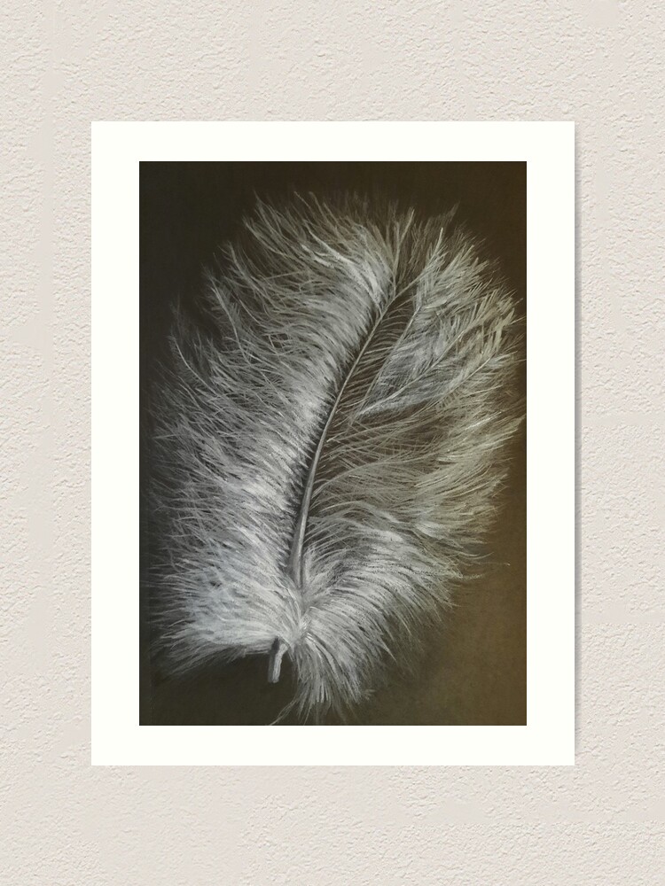 White fluff feather