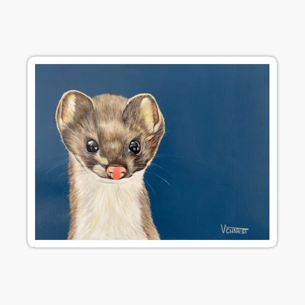 Produits Sur Le Theme La Fouine Redbubble Produits Sur Le Theme La Fouine Redbubble