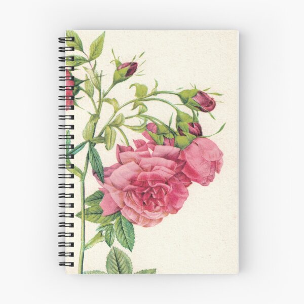 Item preview, Incredible Pink Roses designed and sold by Studio66Designs.
