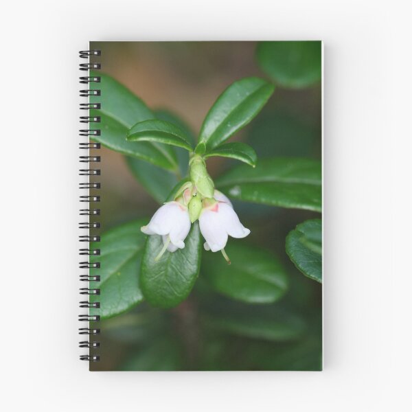 Item preview, Flowers of a wild lingonberry (Vaccinium vitis-idea) designed and sold by Zosimus.