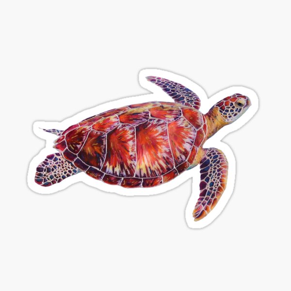 Item preview, Lazy Turtle designed and sold by Susan-Naomi Smith.