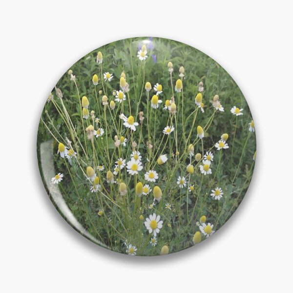 Item preview, Chamomile designed and sold by IVEKDESIGN.