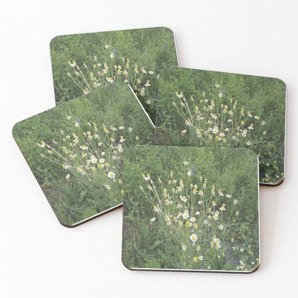 Item preview, Chamomile designed and sold by IVEKDESIGN.