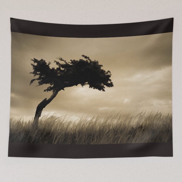 Item preview, Windswept designed and sold by DVJPhotography.