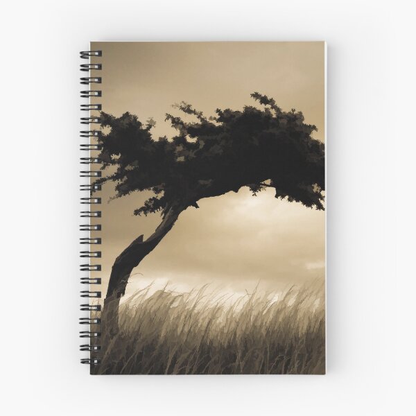 Item preview, Windswept designed and sold by DVJPhotography.