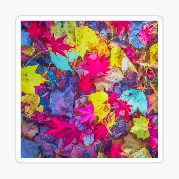 Item preview, Coloured Leaves designed and sold by DVJPhotography.