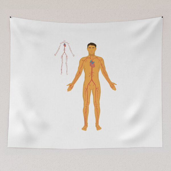Item preview, illustration of diagram of nervous system without point out designed and sold by KARTICK DUTTA.