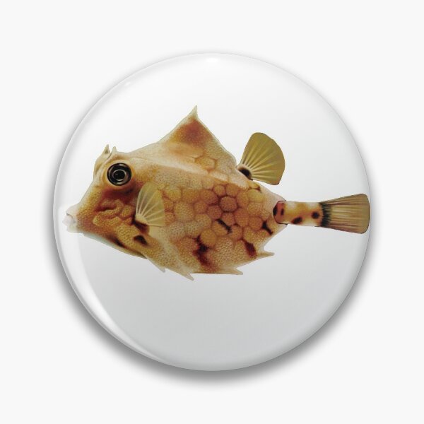 Item preview, camel cowfish, Fish Art - Vintage Print designed and sold by Studio66Designs.
