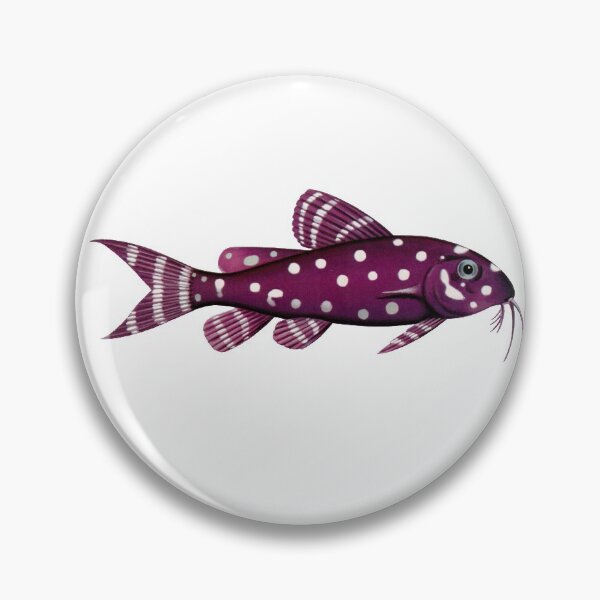 Item preview, Polka dot squeaker, black clown catfish, Fish Art - Vintage Print designed and sold by Studio66Designs.