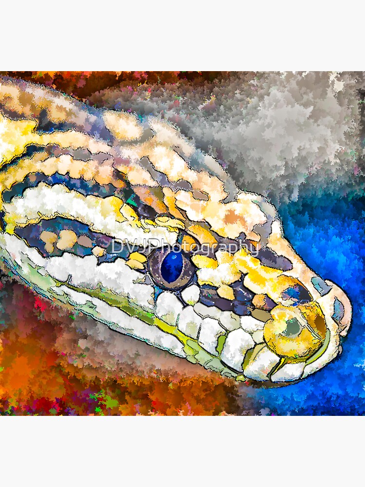 "Python" Sticker for Sale by DVJPhotography | Redbubble