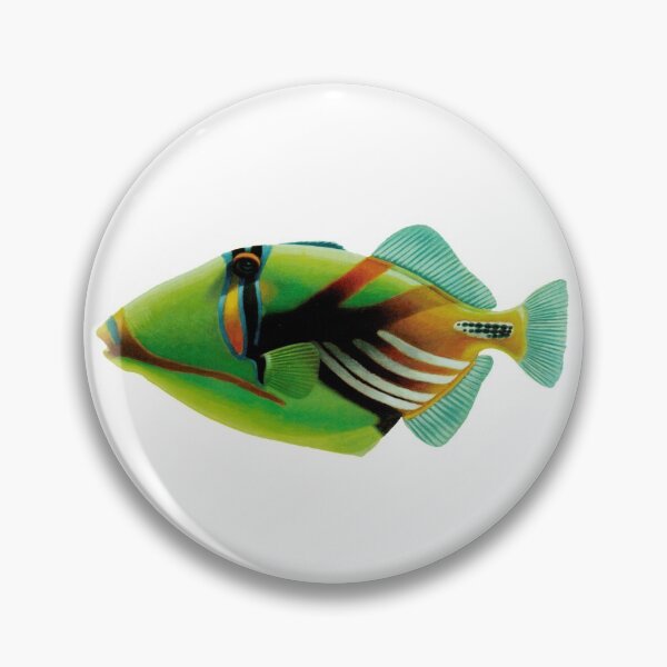 Item preview, lagoon triggerfish (Rhinecanthus aculeatus), blackbar triggerfish, Picasso triggerfish, the Picassofish Fish Art - Vintage Print designed and sold by Studio66Designs.