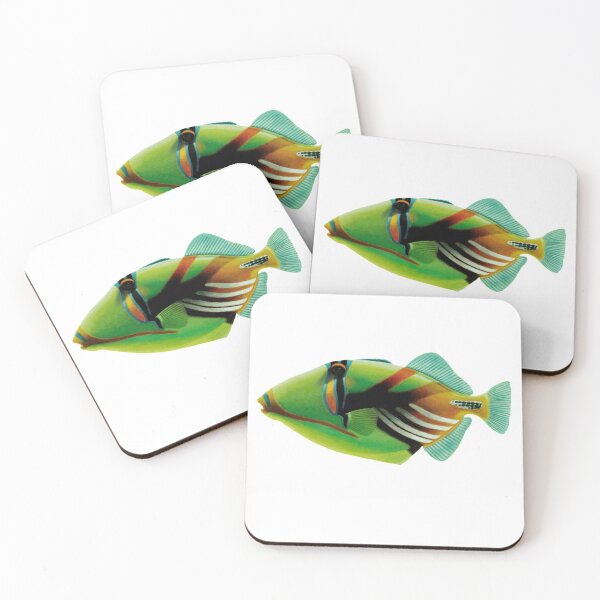 Item preview, lagoon triggerfish (Rhinecanthus aculeatus), blackbar triggerfish, Picasso triggerfish, the Picassofish Fish Art - Vintage Print designed and sold by Studio66Designs.