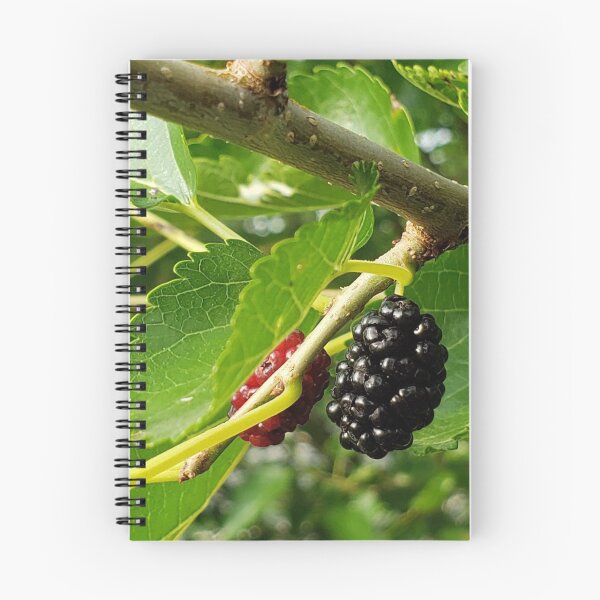 Item preview, Mulberry Tree designed and sold by AbicArtsStudio.