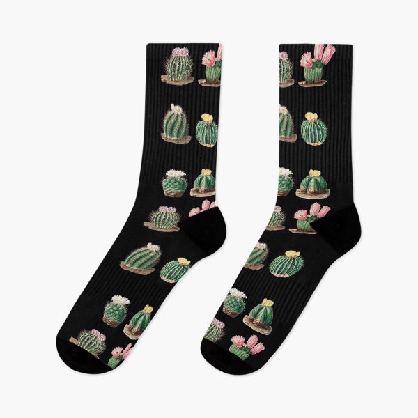 Item preview, Vintage Cactus Flowers Succulent Botanical designed and sold by LashCreations.