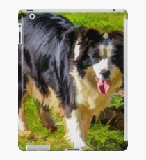 Border Collie - Color iPad Case/Skin