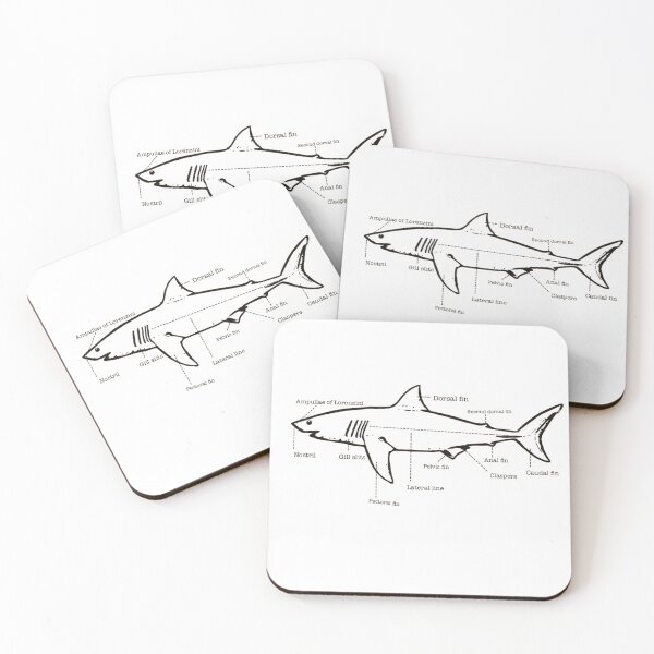 Item preview, Shark anatomy  designed and sold by Madimayy97.