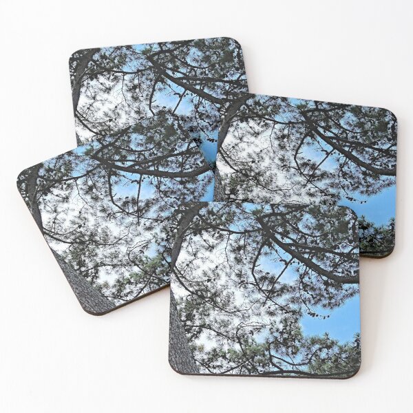 Item preview, Mediterranean Pines Trees Branches Canopy designed and sold by Anna Lemos.