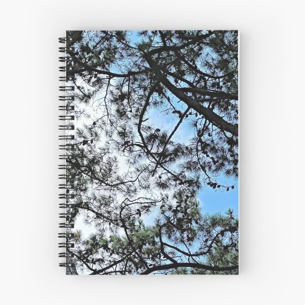 Item preview, Mediterranean Pines Trees Branches Canopy designed and sold by Anna Lemos.