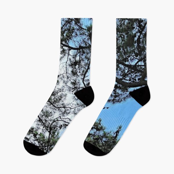 Item preview, Mediterranean Pines Trees Branches Canopy designed and sold by Anna Lemos.