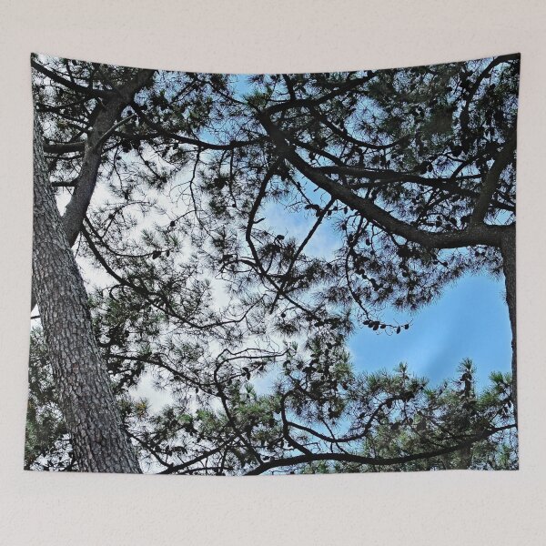 Item preview, Mediterranean Pines Trees Branches Canopy designed and sold by Anna Lemos.