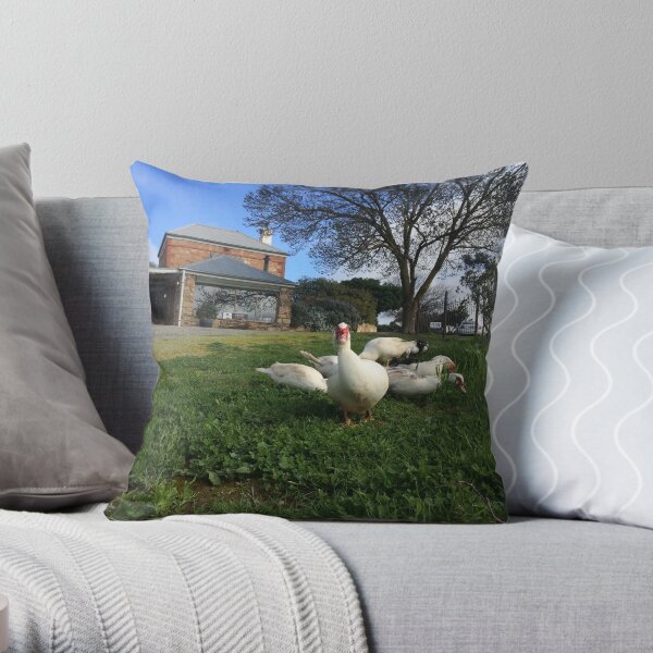 Quack Patrol - Ducks in the Vineyard Throw Pillow