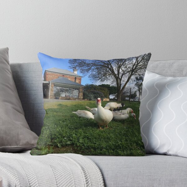 Artikelvorschau, Quack Patrol - Enten im Weinberg entworfen und verkauft von Greg Hamilton.