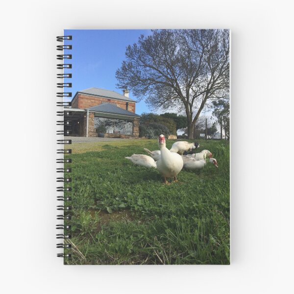Item preview, Quack Patrol - Ducks in the Vineyard designed and sold by Greg Hamilton.