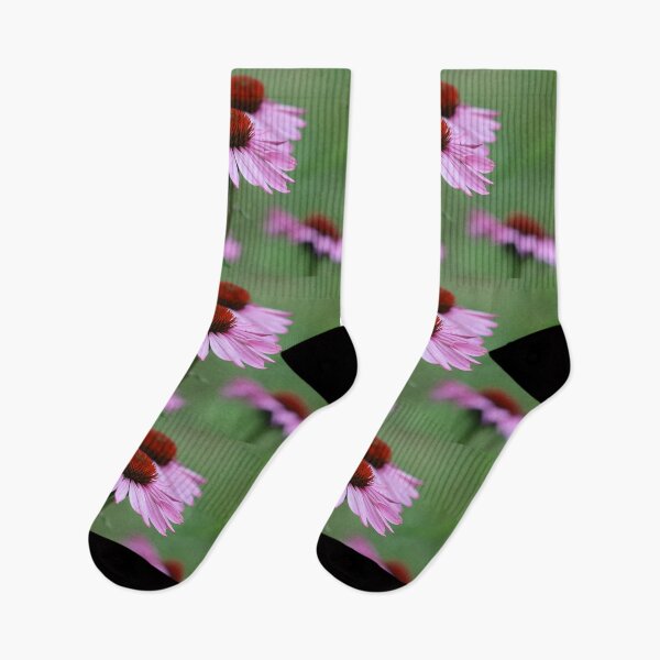 Item preview, Echinacea Beauty designed and sold by LisaNaturePhoto.