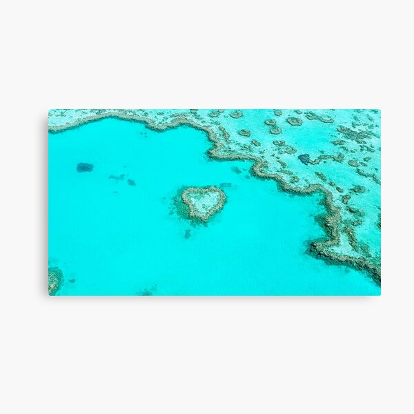 Heart Reef Canvas Print