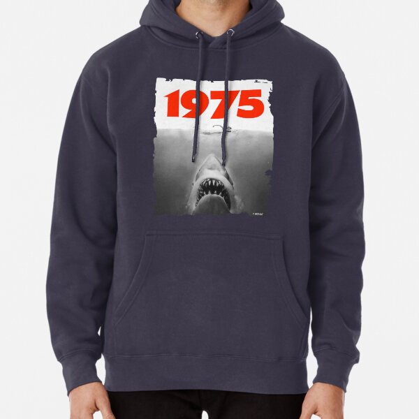 Jaws clearance hoodie h&m