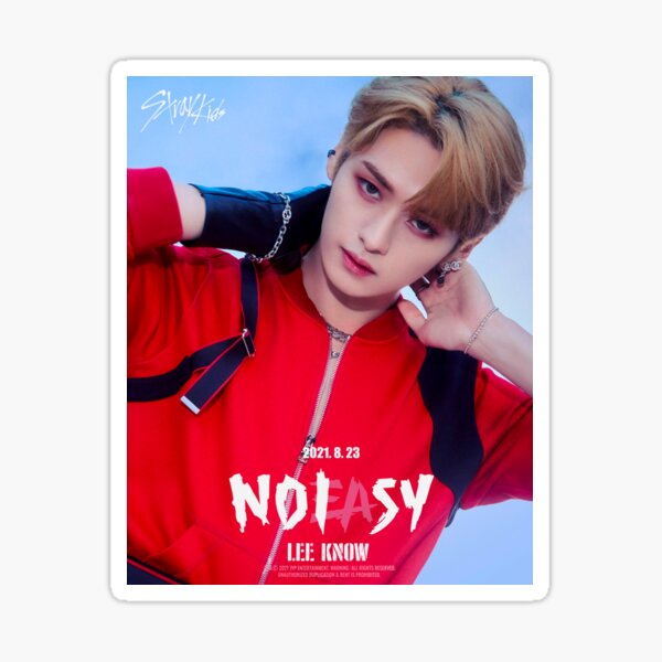 Stray Kids Thunderous 소리꾼 NOEASY Kpop Photocard Stickers 